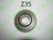 Запчасти для Синтай 120/160/180/200/220/224 - Шестерня ВОМ Синтай XT-120-220 16.37.304